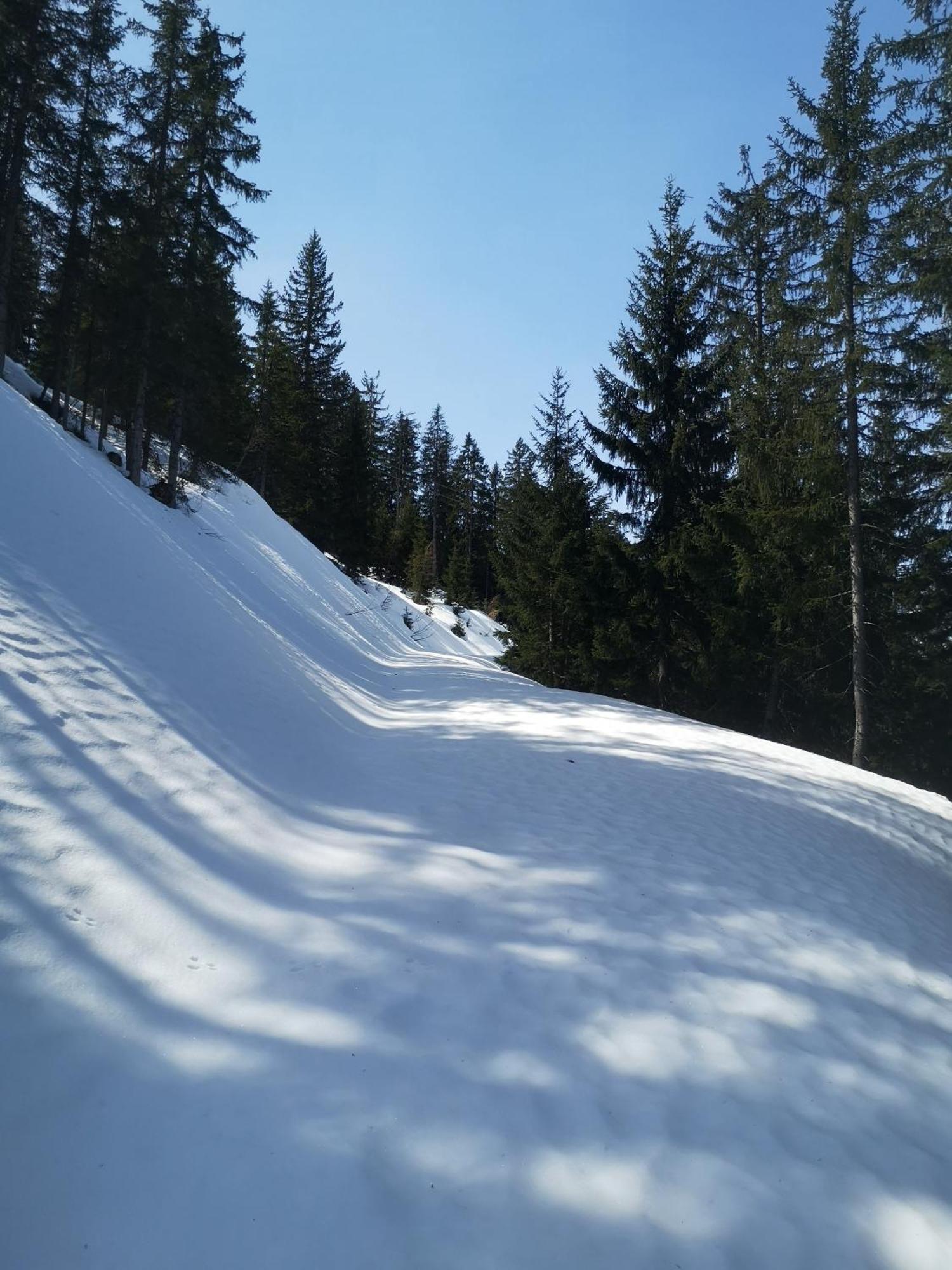 דירות הינטרטאל Sweet Panorama מראה חיצוני תמונה